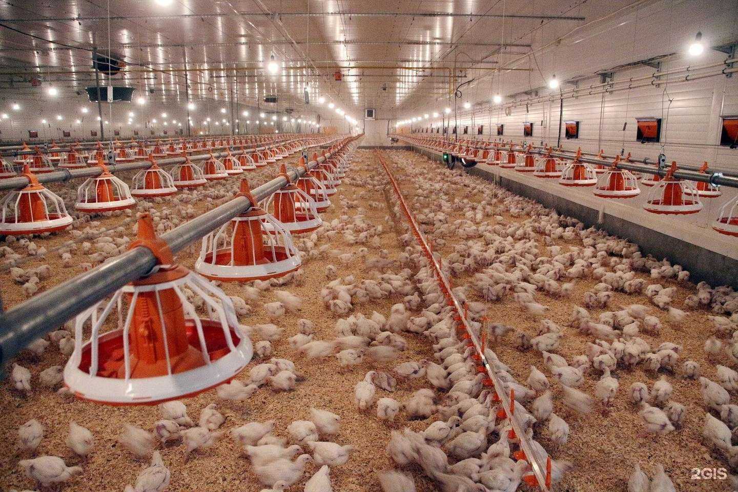 Отзывы на компанию Октябрьская в г. Новосибирск c фото