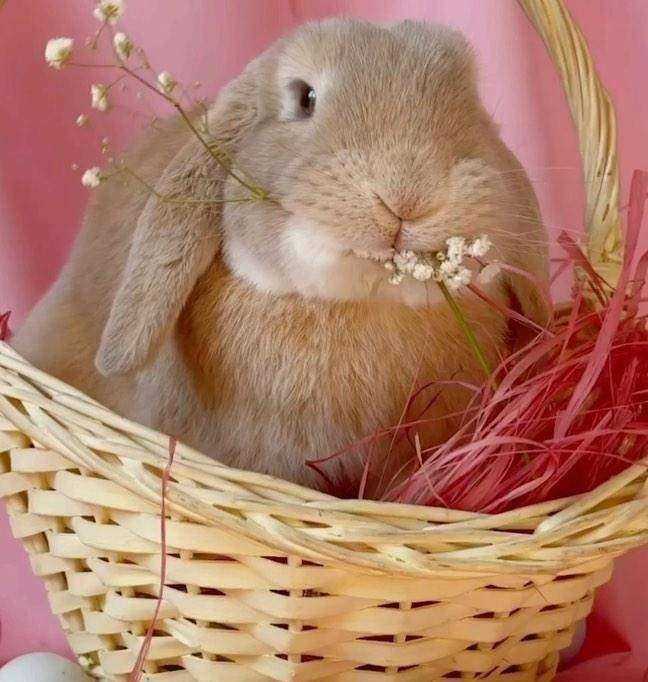 Отзывы на компанию Sweet Home в г. Иркутск c фото