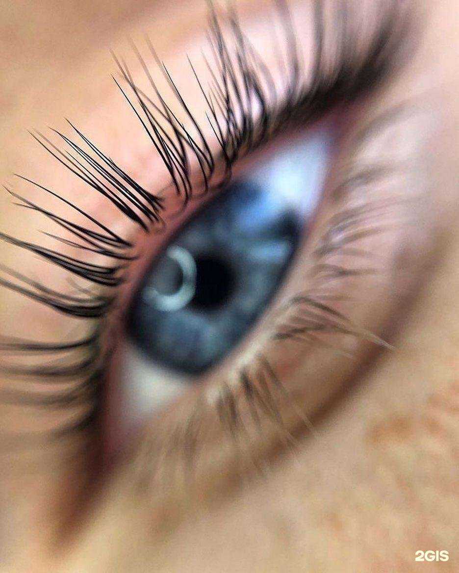 Отзывы на компанию Kletka в Краснодаре c фото