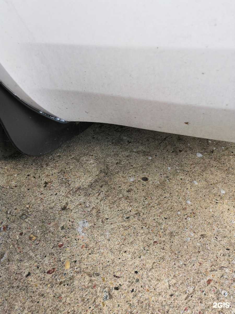 Отзывы на компанию Ehrle в Калининграде c фото