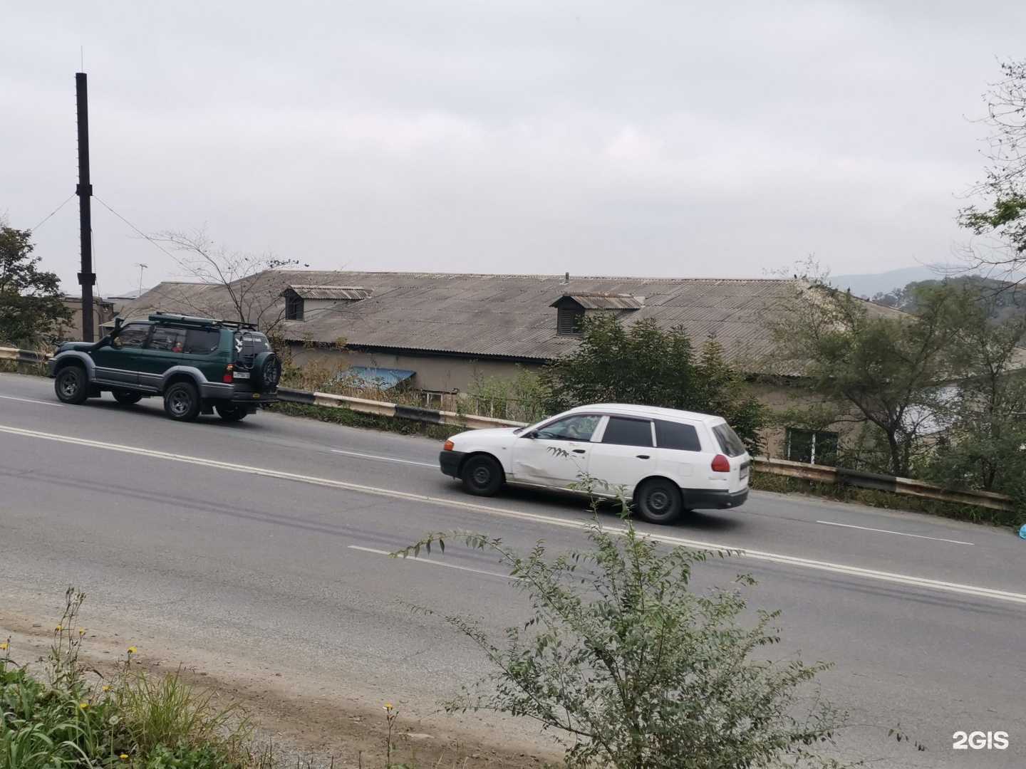 Отзывы на компанию Динихтис в Владивостоке c фото - фотография 2 из 2