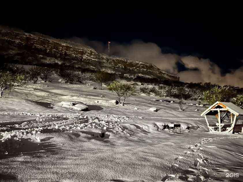 Отзывы на компанию Конные прогулки 05 в Махачкале c фото