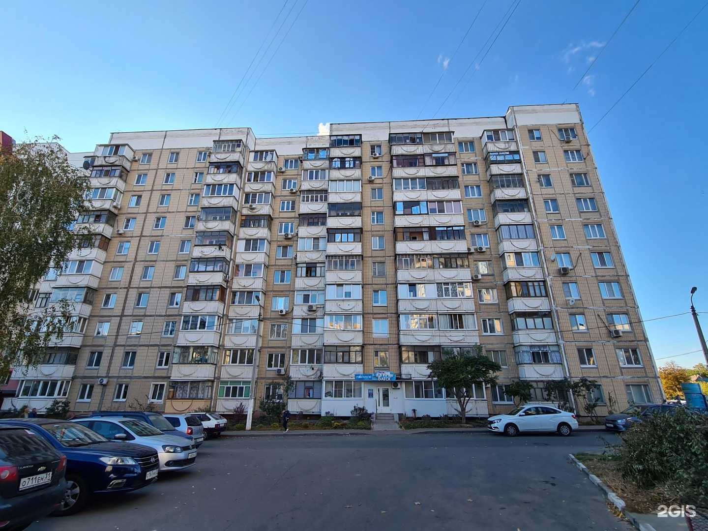 Отзывы на компанию Левша в Белгороде c фото - фотография 2 из 2