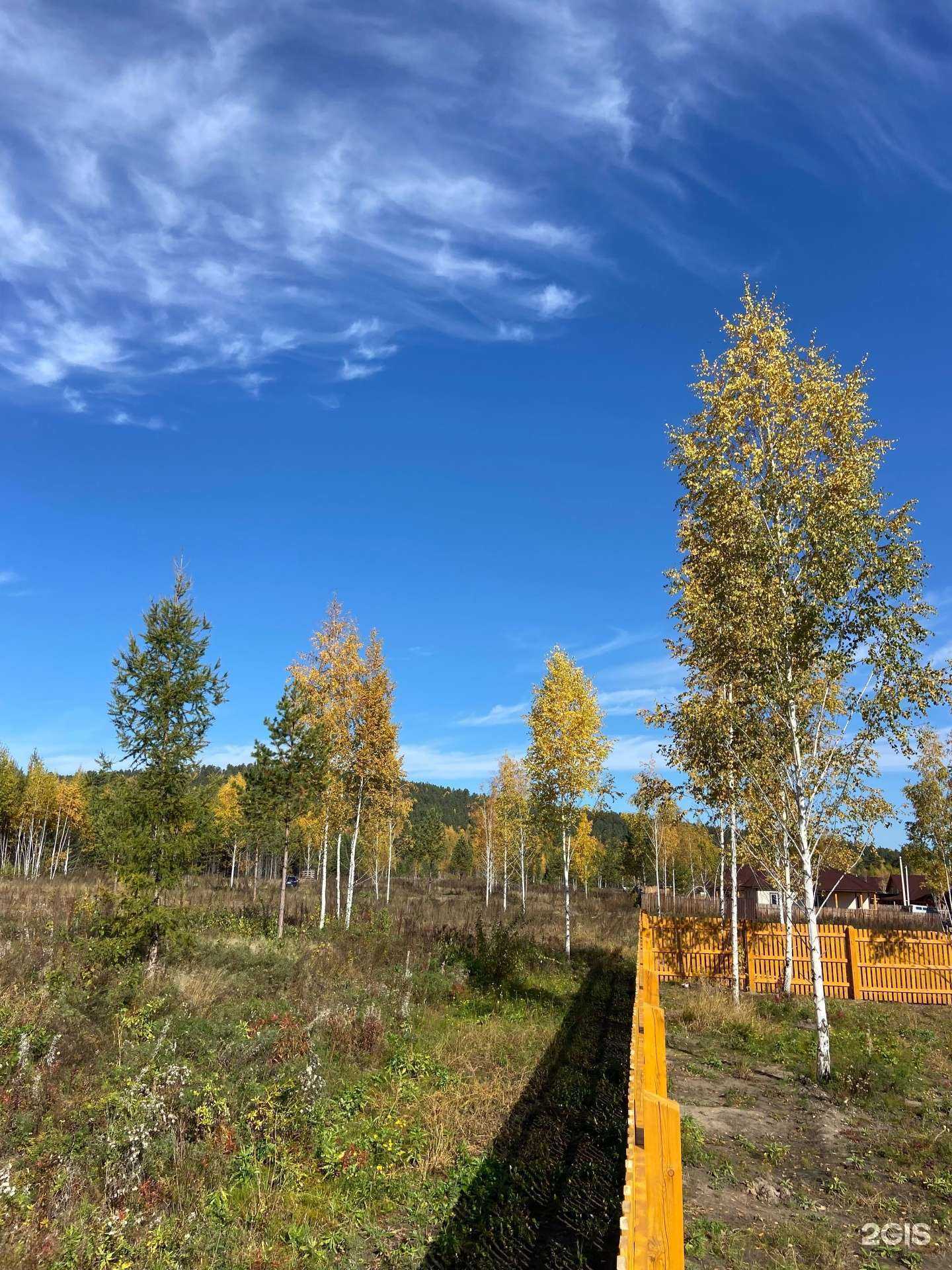 Отзывы на компанию Флагман в г. Шелехов c фото