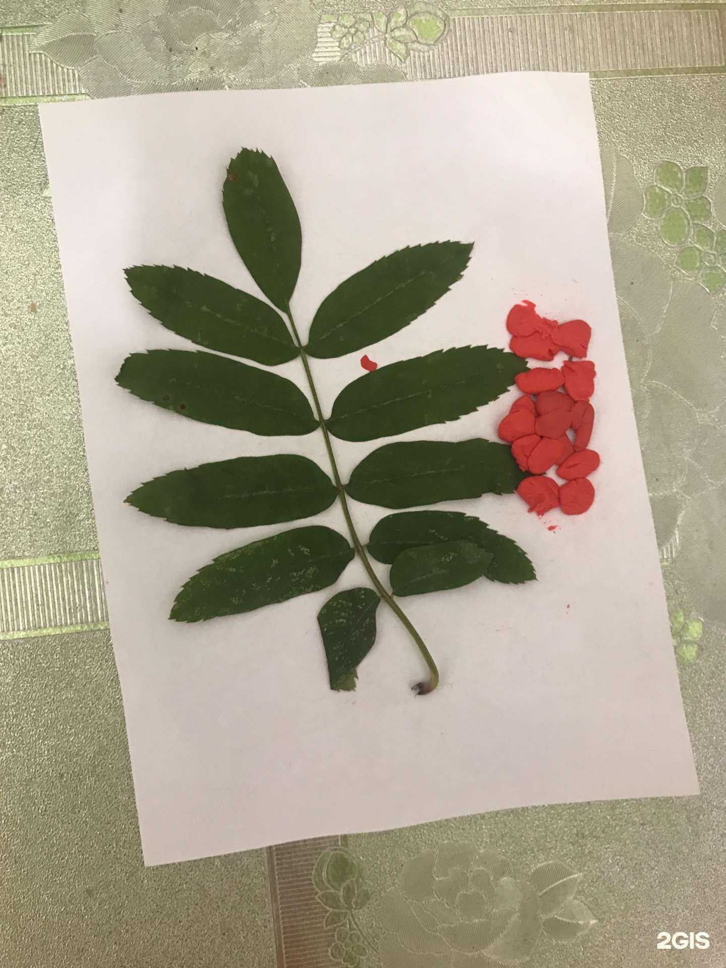 Отзывы на компанию 38 попугаев в г. Екатеринбург c фото