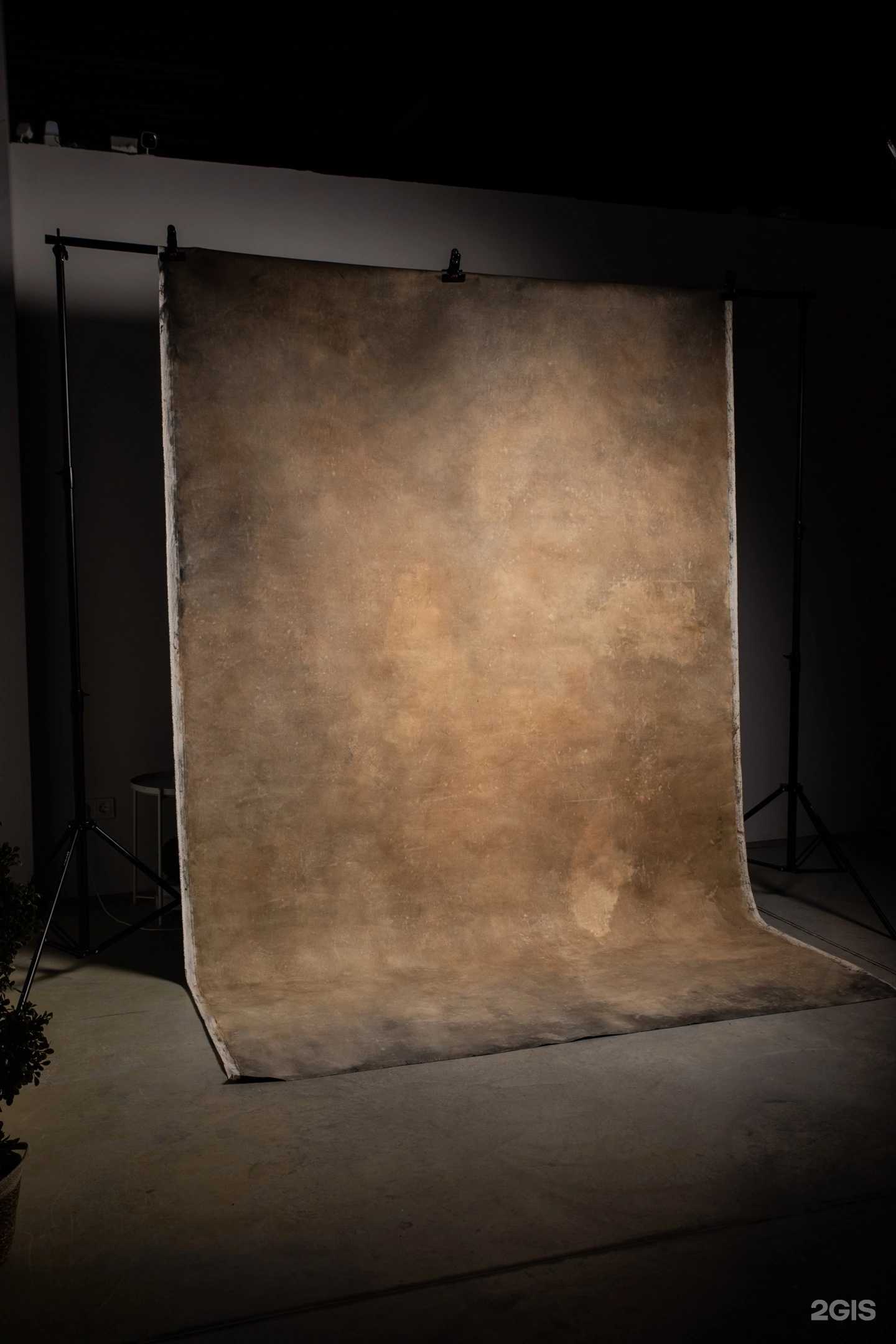 Отзывы на компанию Pavilion в Тюмени c фото