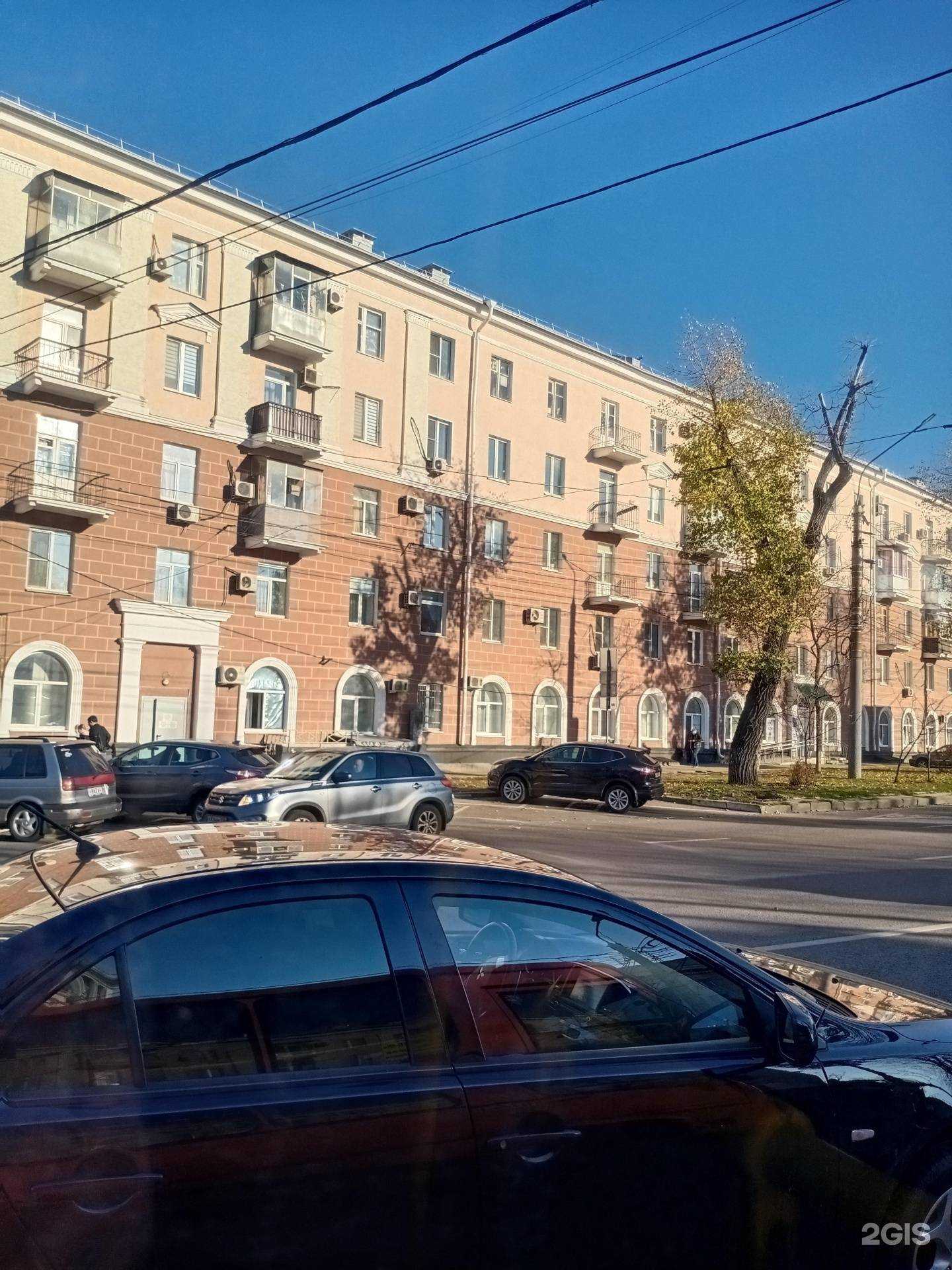 Отзывы на компанию Здоровье Животных в Воронеже c фото - фотография 2 из 2