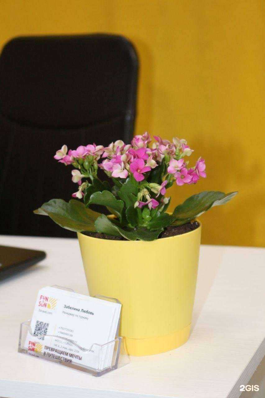 Отзывы на компанию FUN&SUN в г. Самара c фото