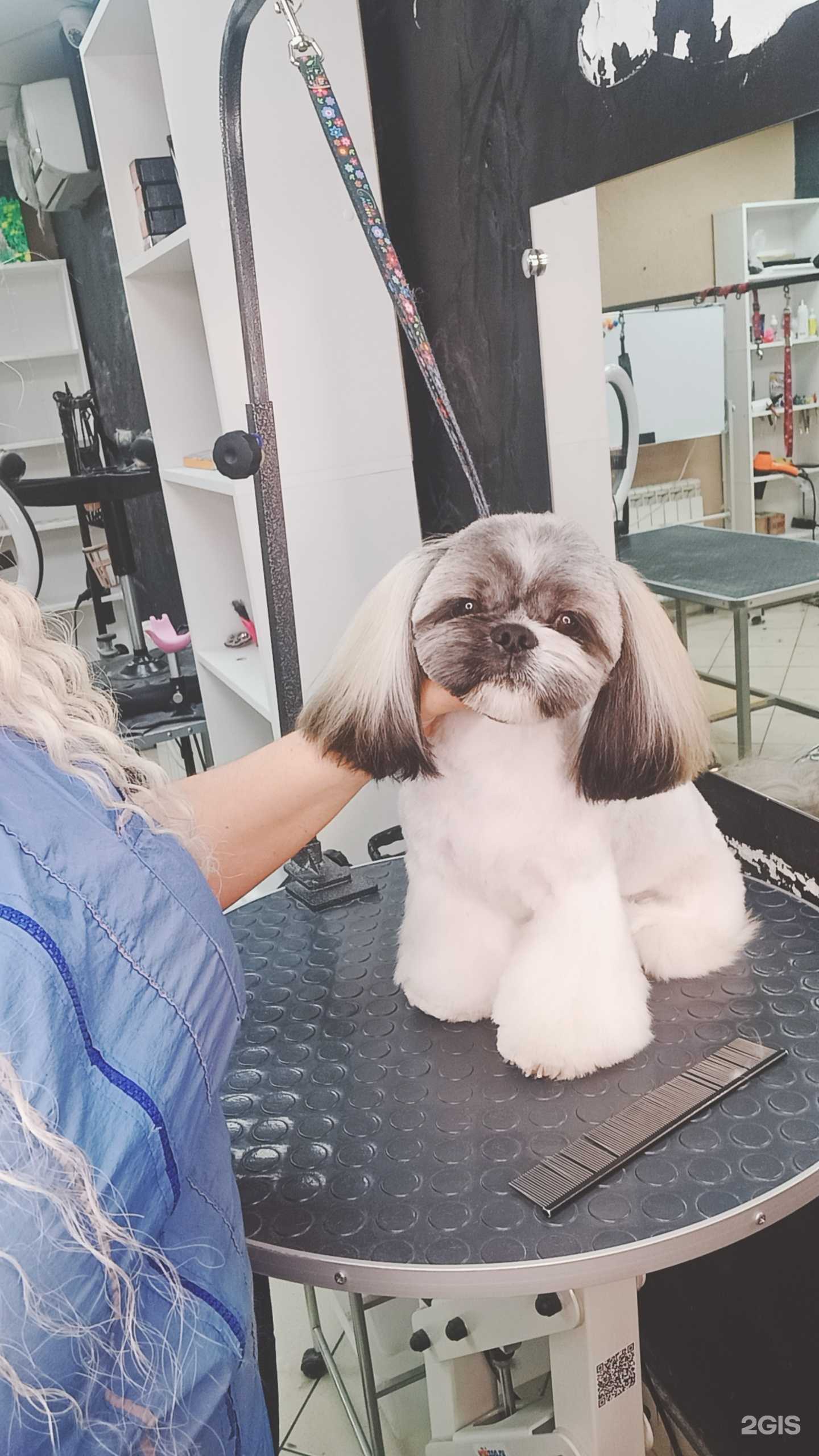 Отзывы на компанию МурZик в г. Барнаул c фото