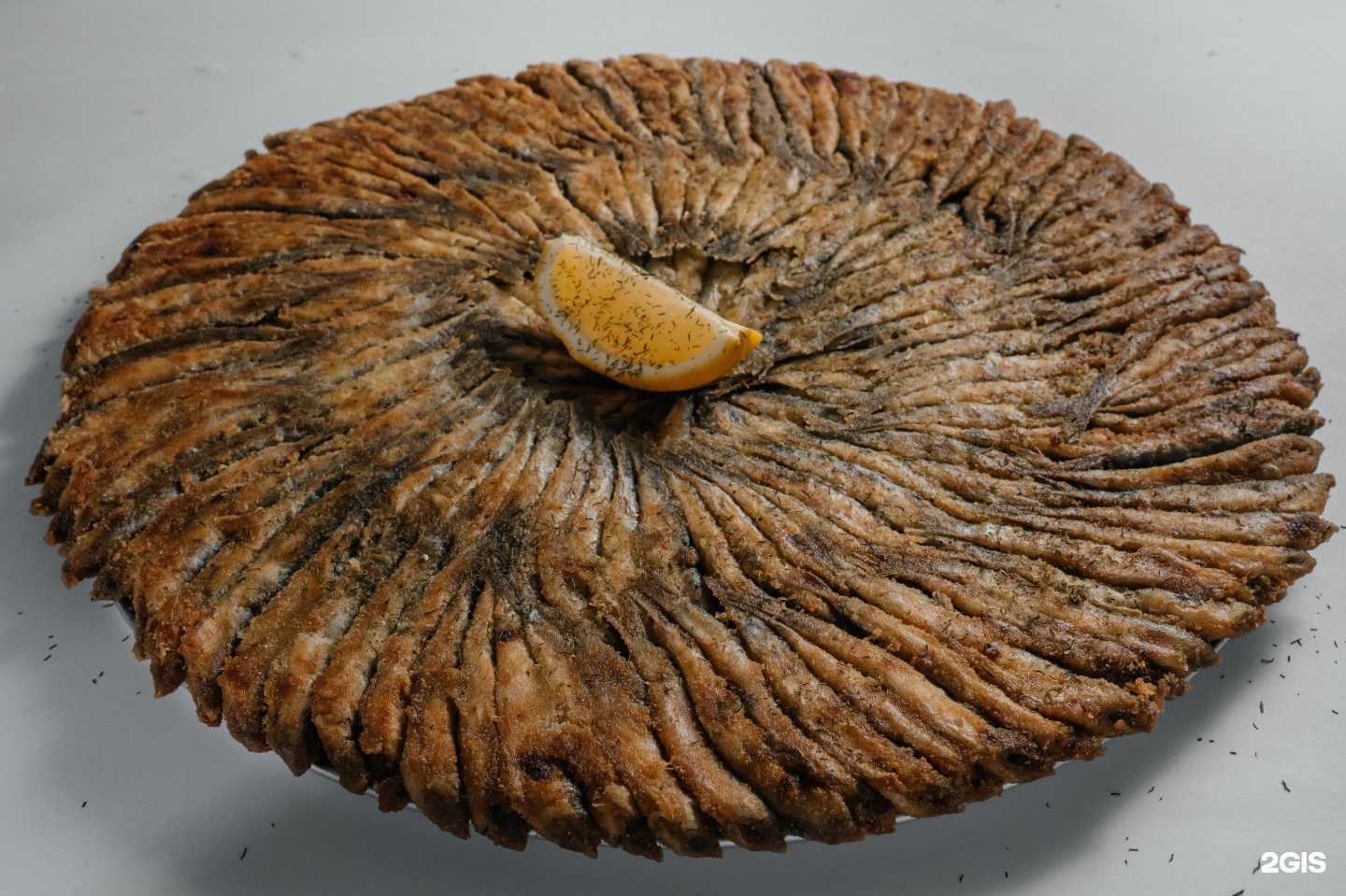 Отзывы на компанию Мистер Хамс в Тюмени c фото