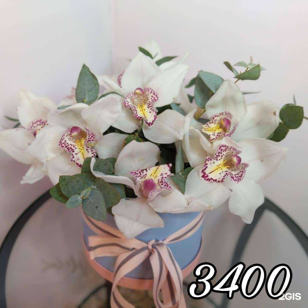 Отзывы на компанию Астра в Тюмени c фото