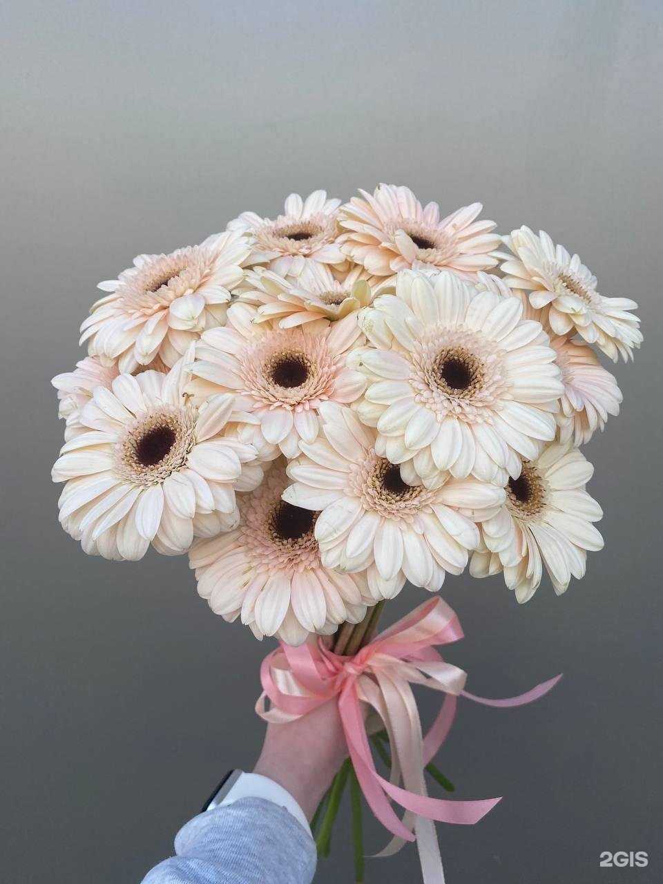 Отзывы на компанию Твой букет в Нижнем Новгороде c фото