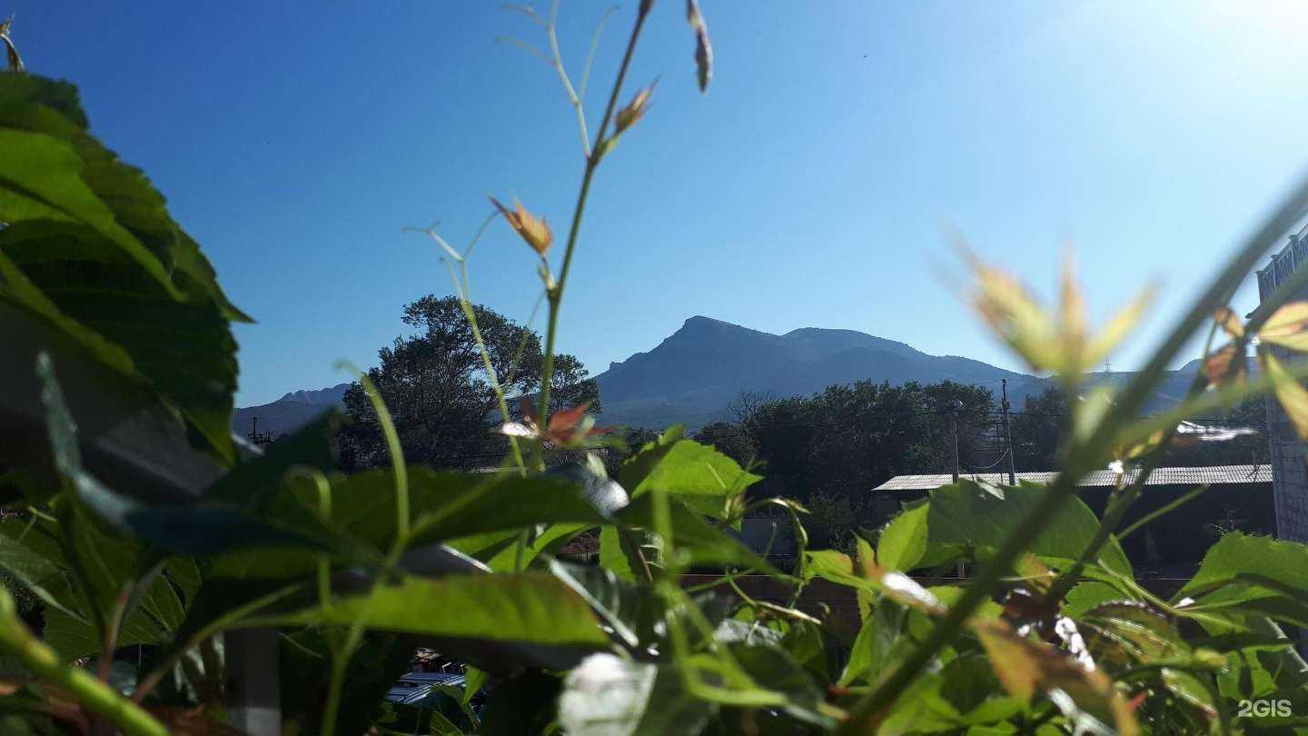 Отзывы на компанию Спорт Тур в г. Кострома c фото