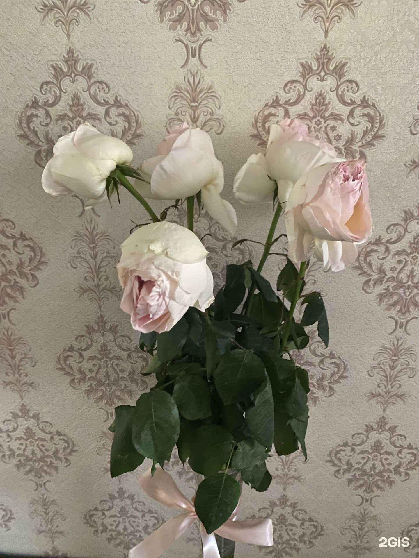 Отзывы на компанию Орхидея в Екатеринбурге c фото