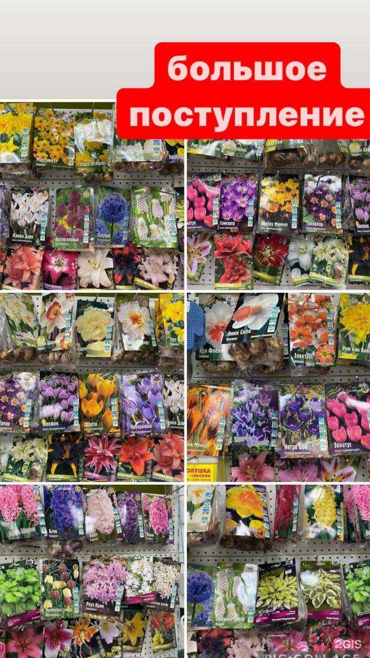 Отзывы на компанию Дача в г. Казань c фото