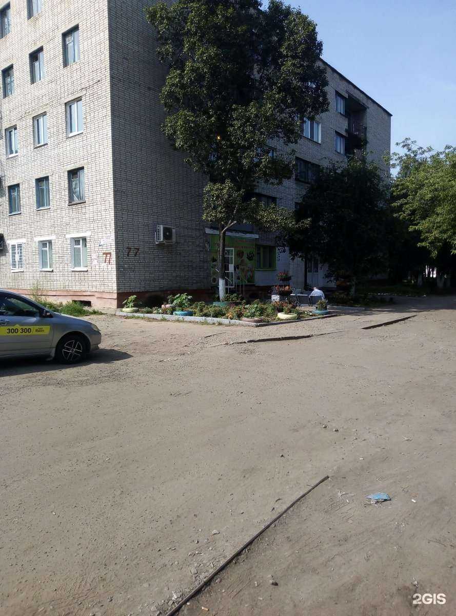 Отзывы на компанию Территория знаний в Комсомольске-на-Амуре c фото - фотография 2 из 2