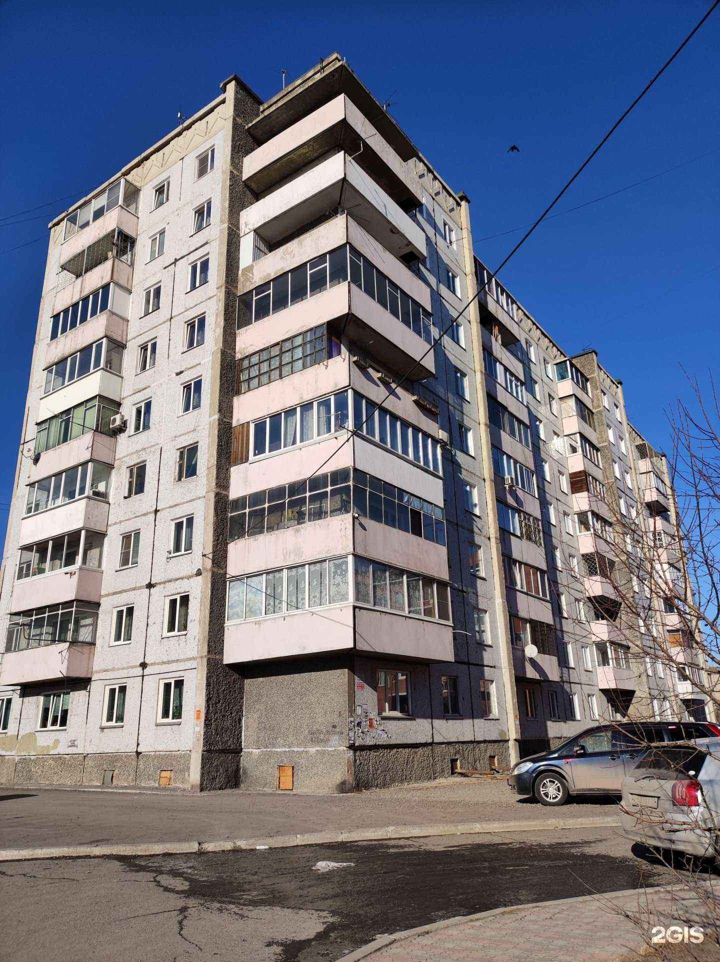 Отзывы на компанию Мокрые носики в Черногорске c фото - фотография 2 из 2