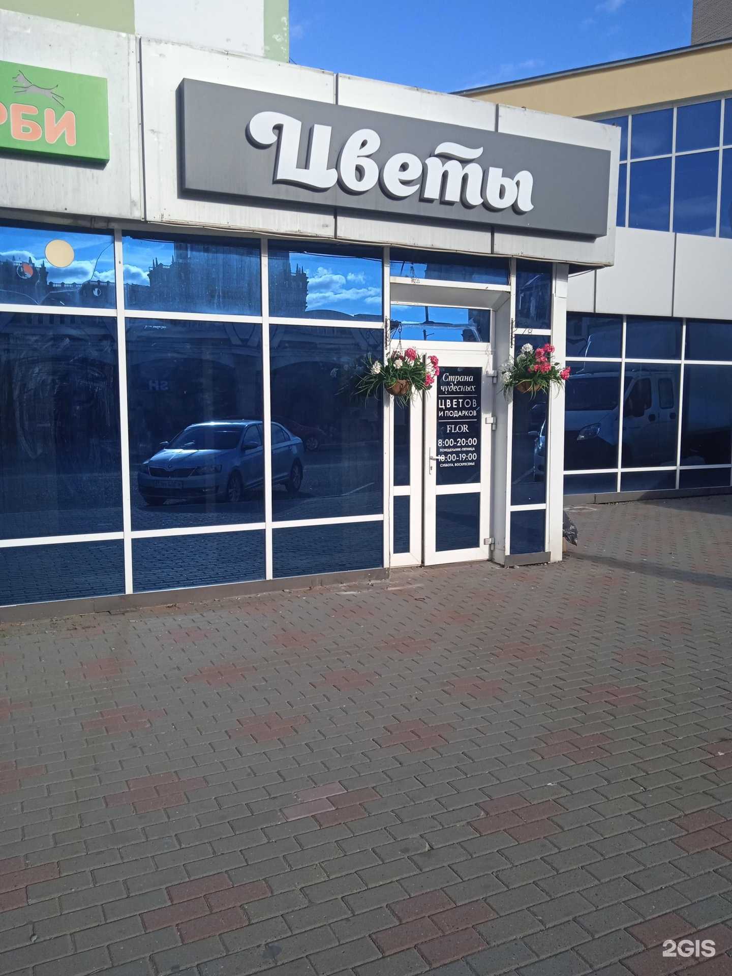 Отзывы на компанию FloR в Саранске c фото