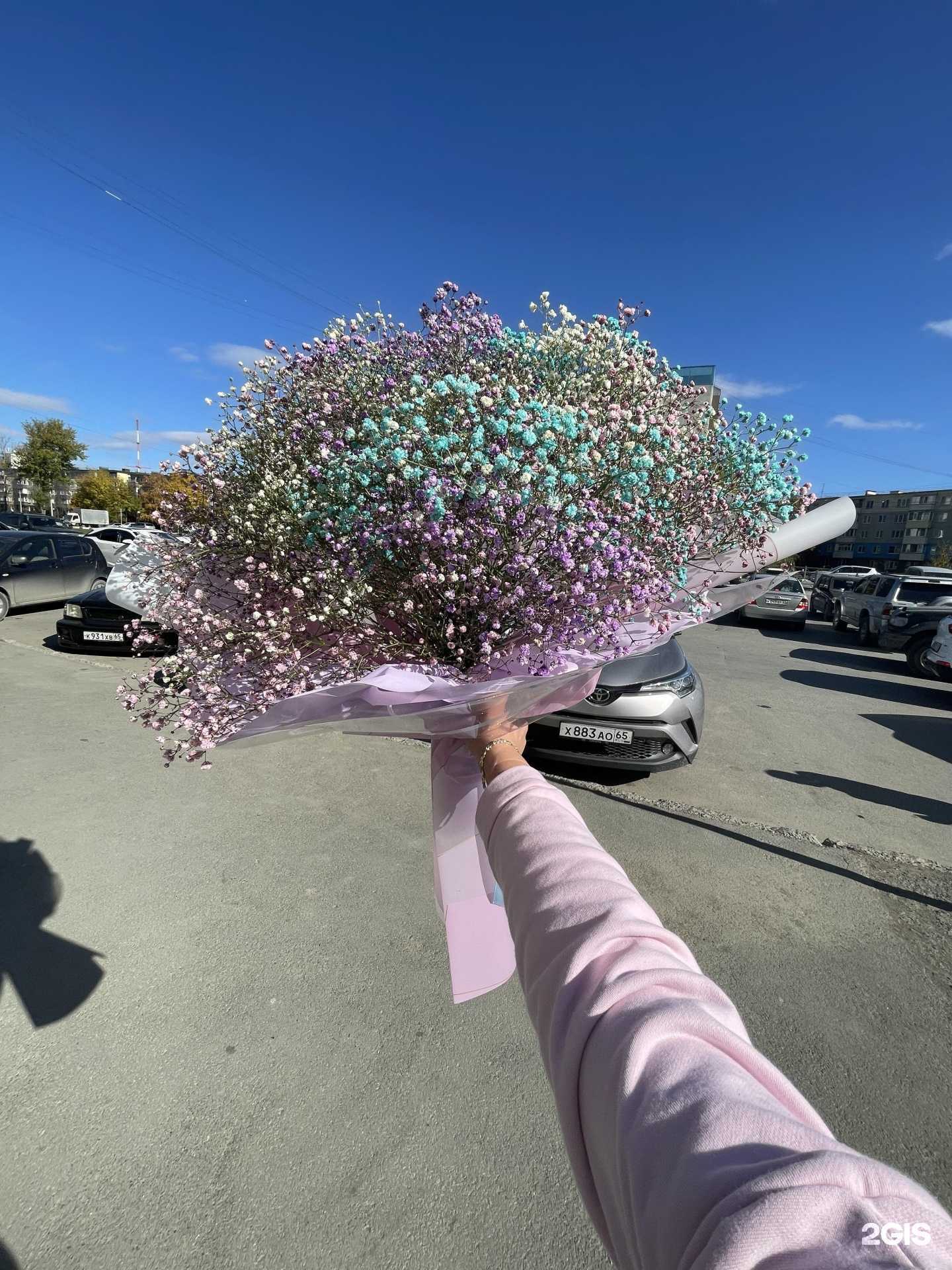 Отзывы на компанию Santini_65 в Южно-Сахалинске c фото