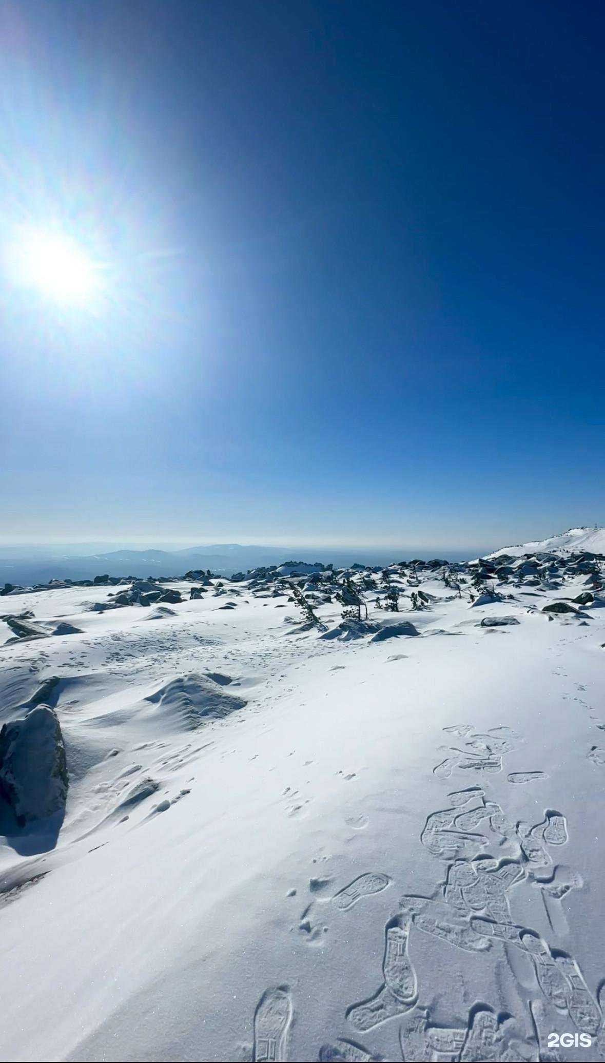 Отзывы на компанию Твой Алтай в Барнауле c фото