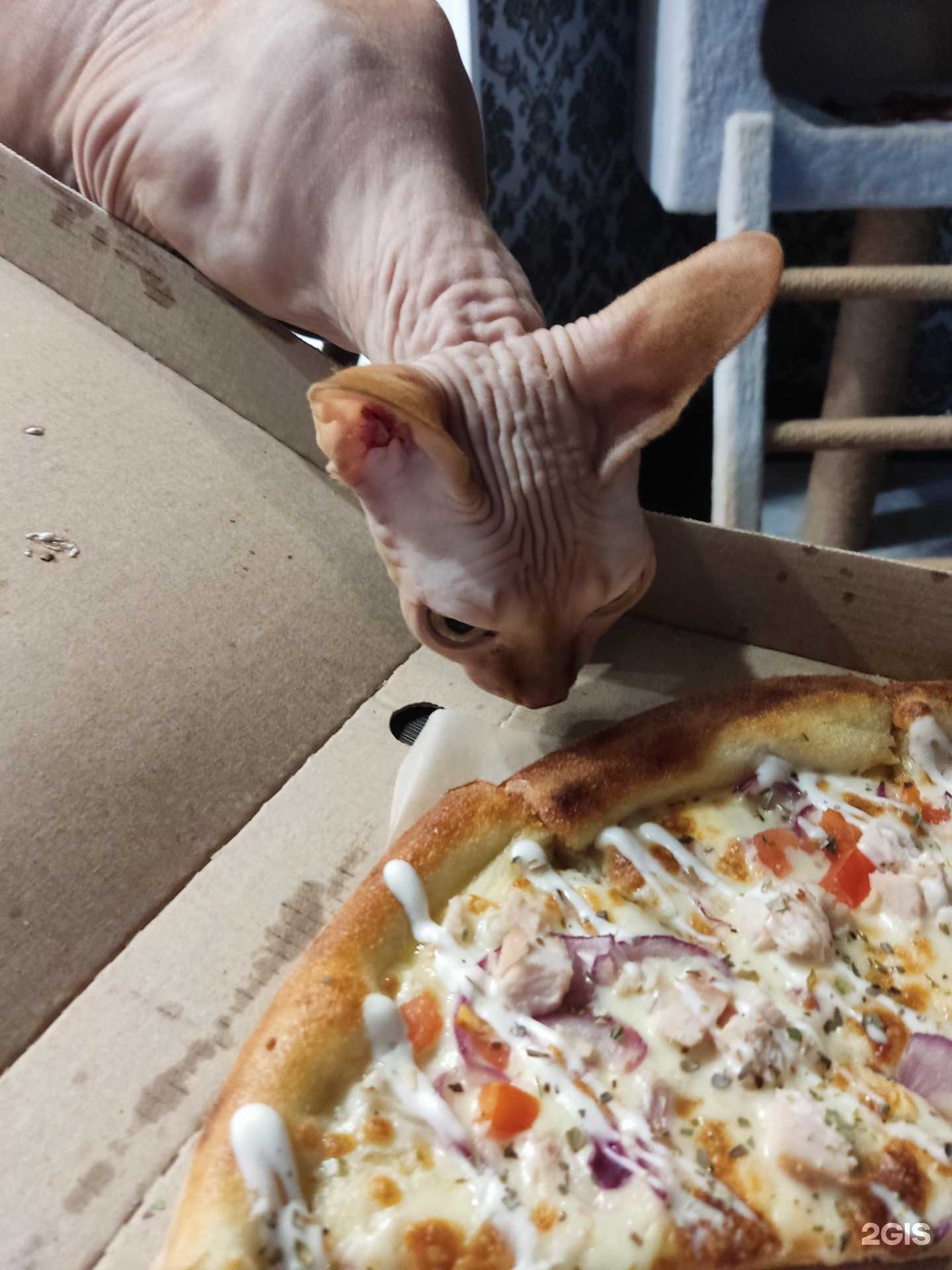 Отзывы на компанию Kami в г. Самара c фото