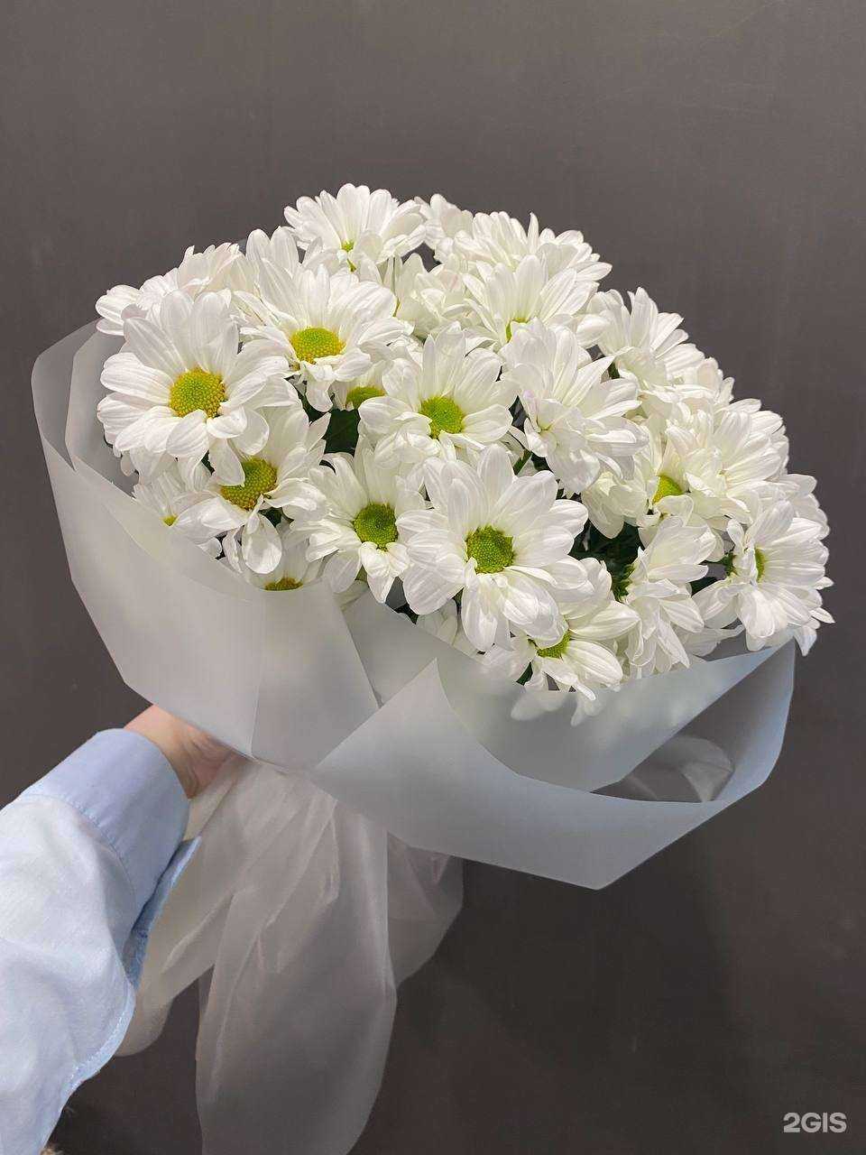 Отзывы на компанию Kukka в Петрозаводске c фото