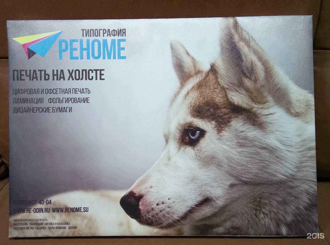 Отзывы на компанию Реноме в г. Одинцово c фото