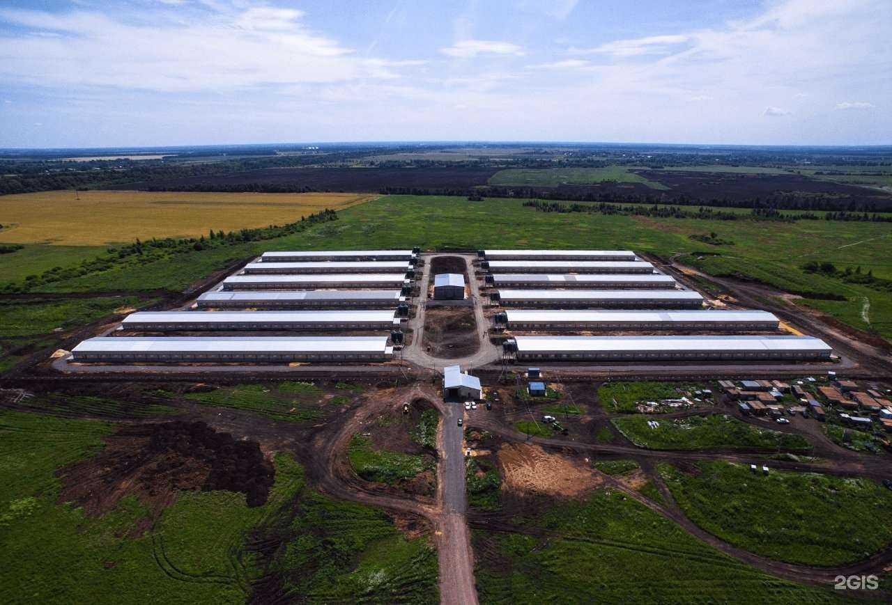 Отзывы на компанию Проминжиниринг в г. Тамбов c фото