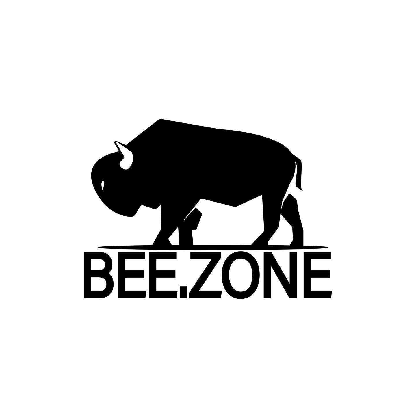 Отзывы на компанию BeeZone в Магнитогорске c фото