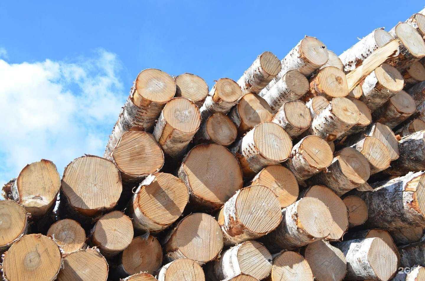 Отзывы на компанию Оптипром-А в Архангельске c фото