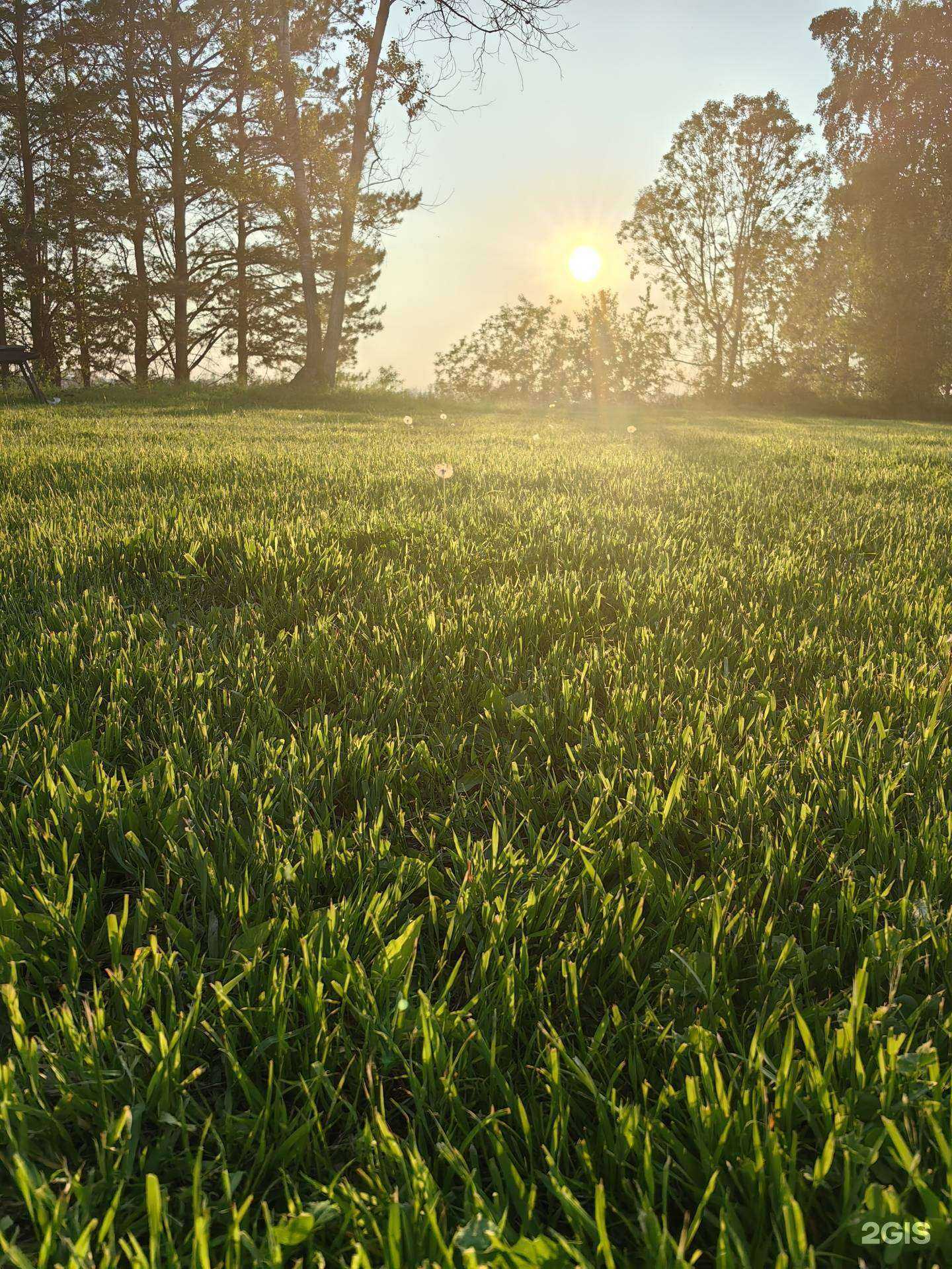 Отзывы на компанию Дом на реке в Железногорске c фото