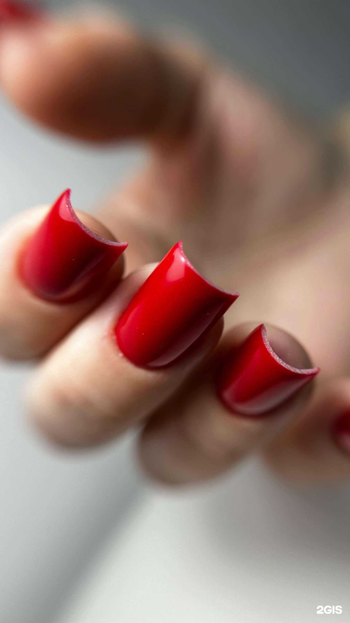 Отзывы на компанию Студия Дарьи Сологуб в г. Комсомольск-на-Амуре c фото