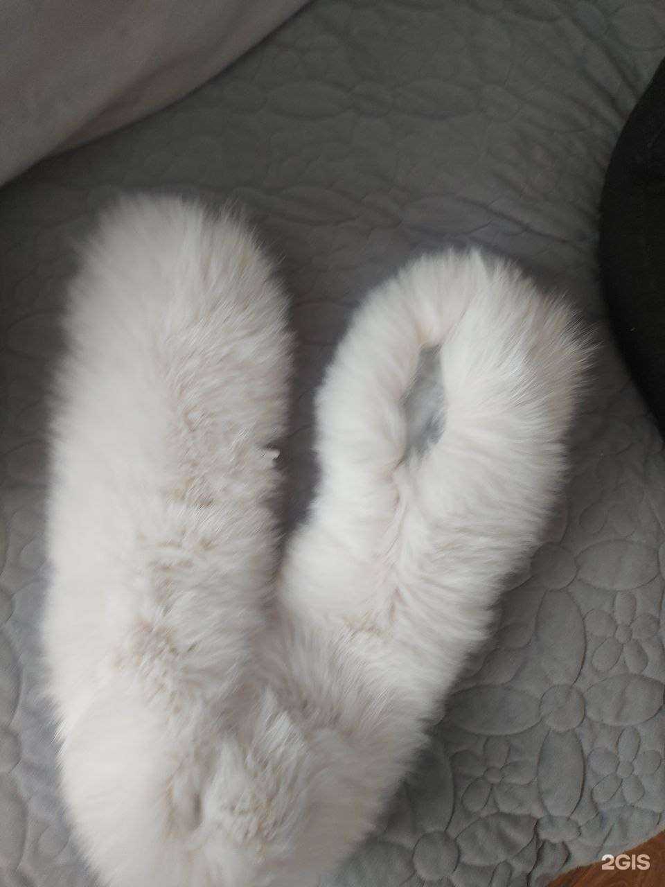 Отзывы на компанию Хаусфрау в Иркутске c фото