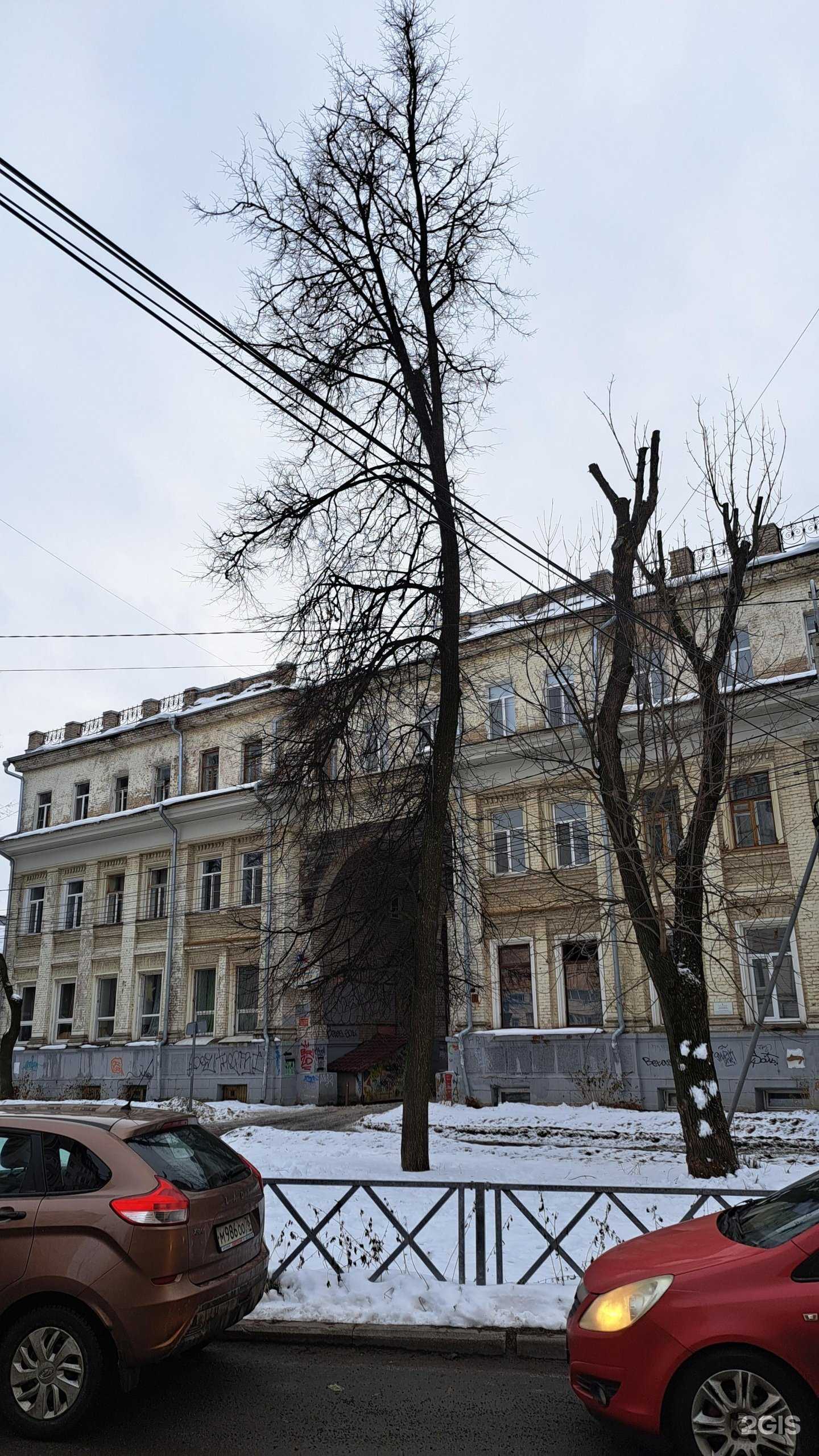 Отзывы на компанию Эксклюзивный дизайн в Ярославле c фото - фотография 2 из 2