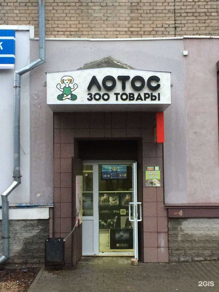 Отзывы на компанию Лотос в Смоленске c фото