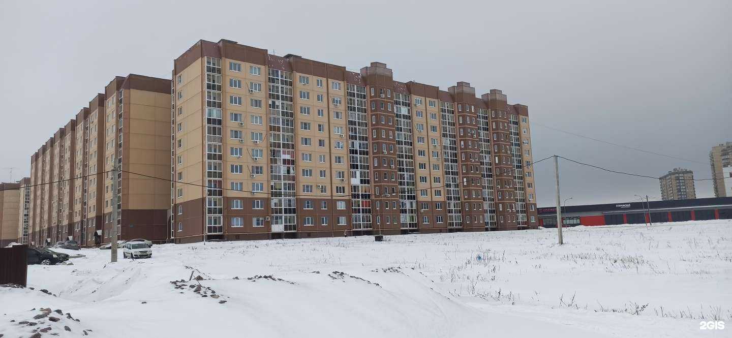 Отзывы на компанию Магазин цветов и зоотоваров в Воронеже c фото - фотография 2 из 2