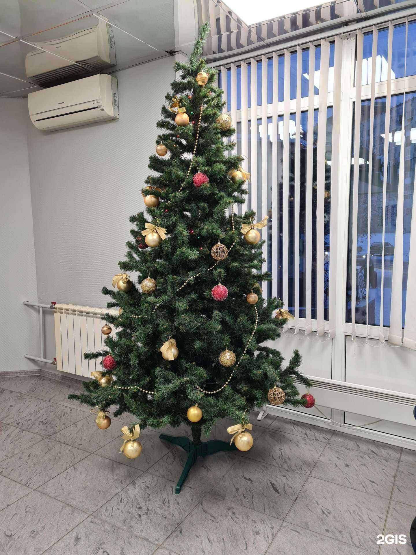 Отзывы на компанию Первая в Новокузнецке c фото