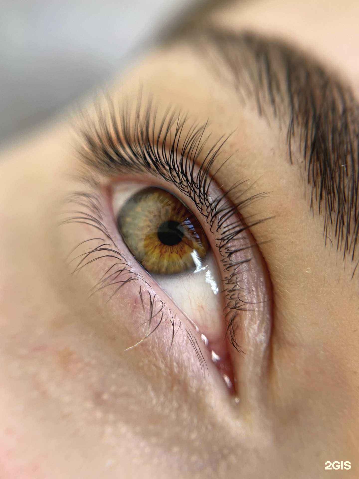 Отзывы на компанию Bbrowss в Барнауле c фото