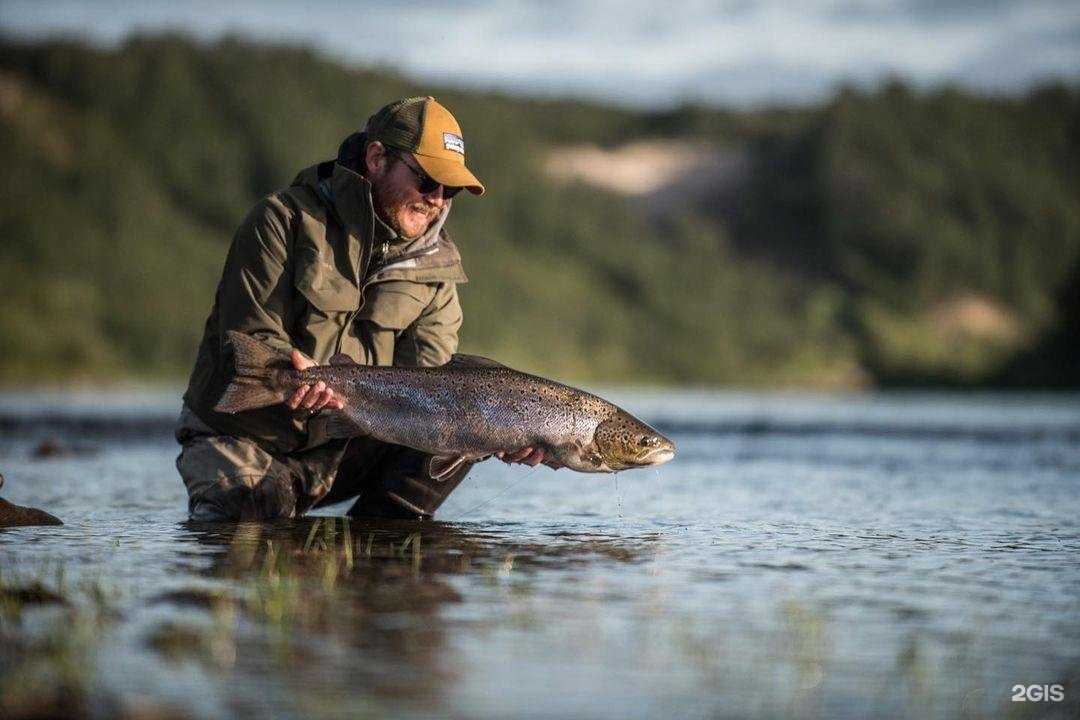 Отзывы на компанию Аврора Тур в Мурманске c фото