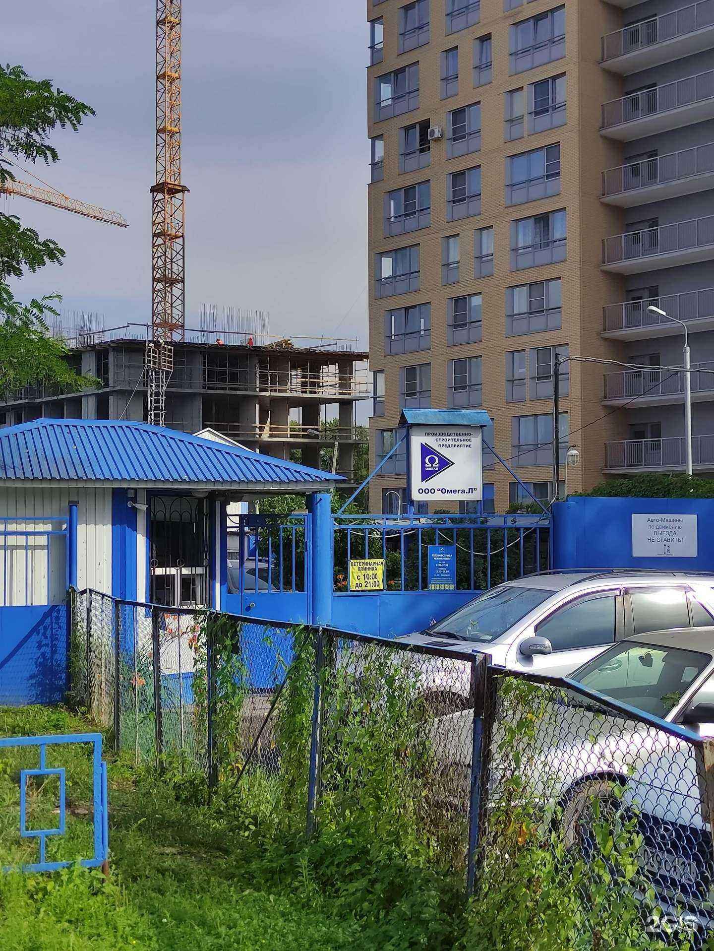 Отзывы на компанию Чеширский Кэт в Королёве c фото