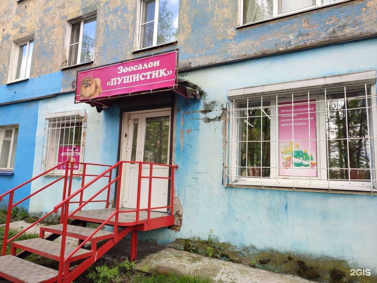 Отзывы на компанию Пушистик в Мурманске c фото