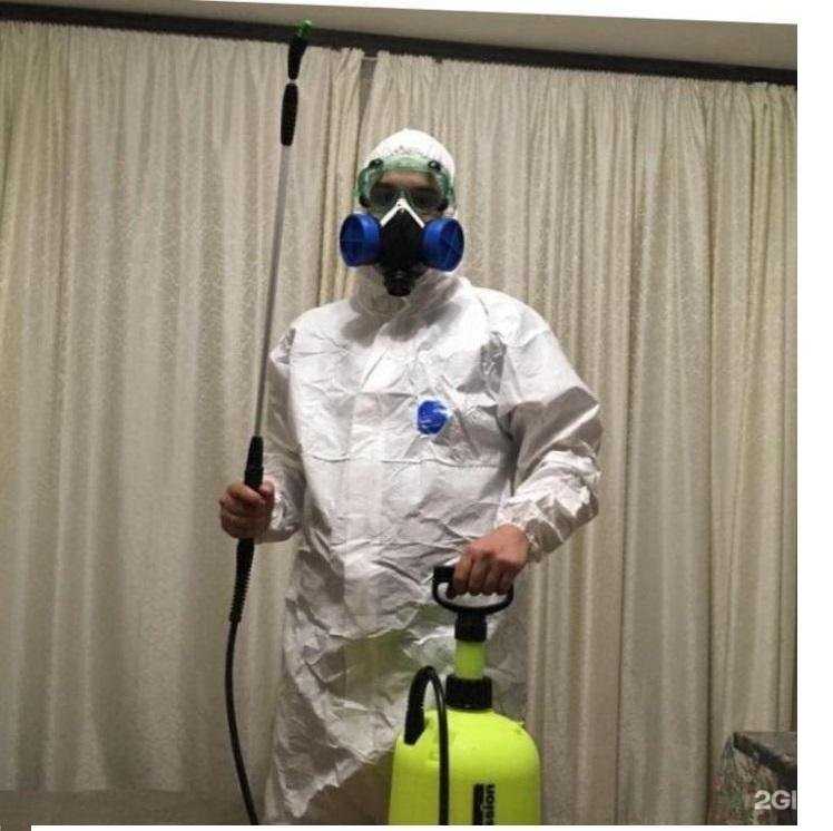 Отзывы на компанию Дез-дом+ в г. Екатеринбург c фото