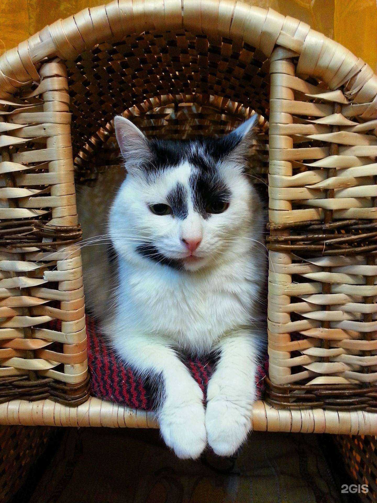 Отзывы на компанию Loz Art в г. Чебоксары c фото