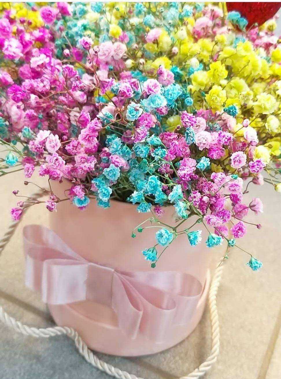 Отзывы на компанию Вера в г. Ульяновск c фото