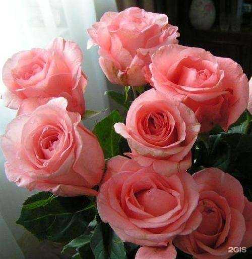 Отзывы на компанию Содействие в Костроме c фото