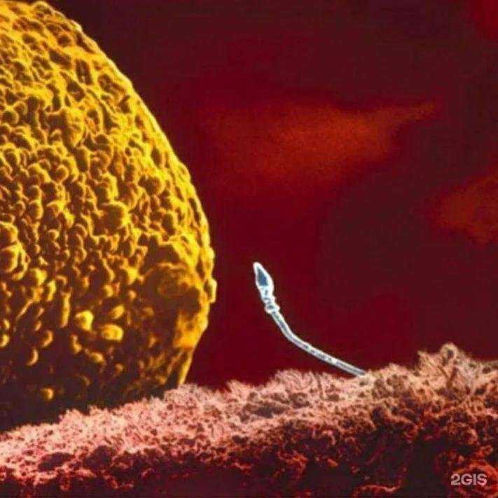 Отзывы на компанию Витроклиник в г. Липецк c фото