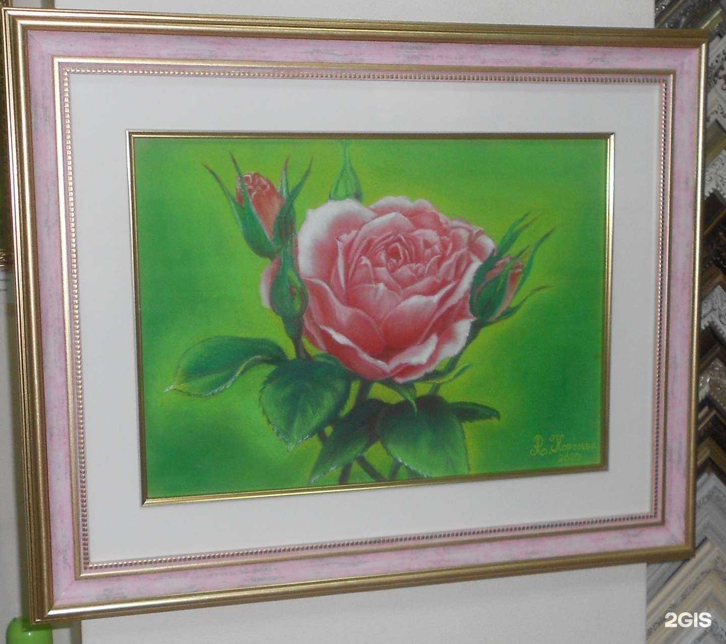 Отзывы на компанию Аманит в Новосибирске c фото