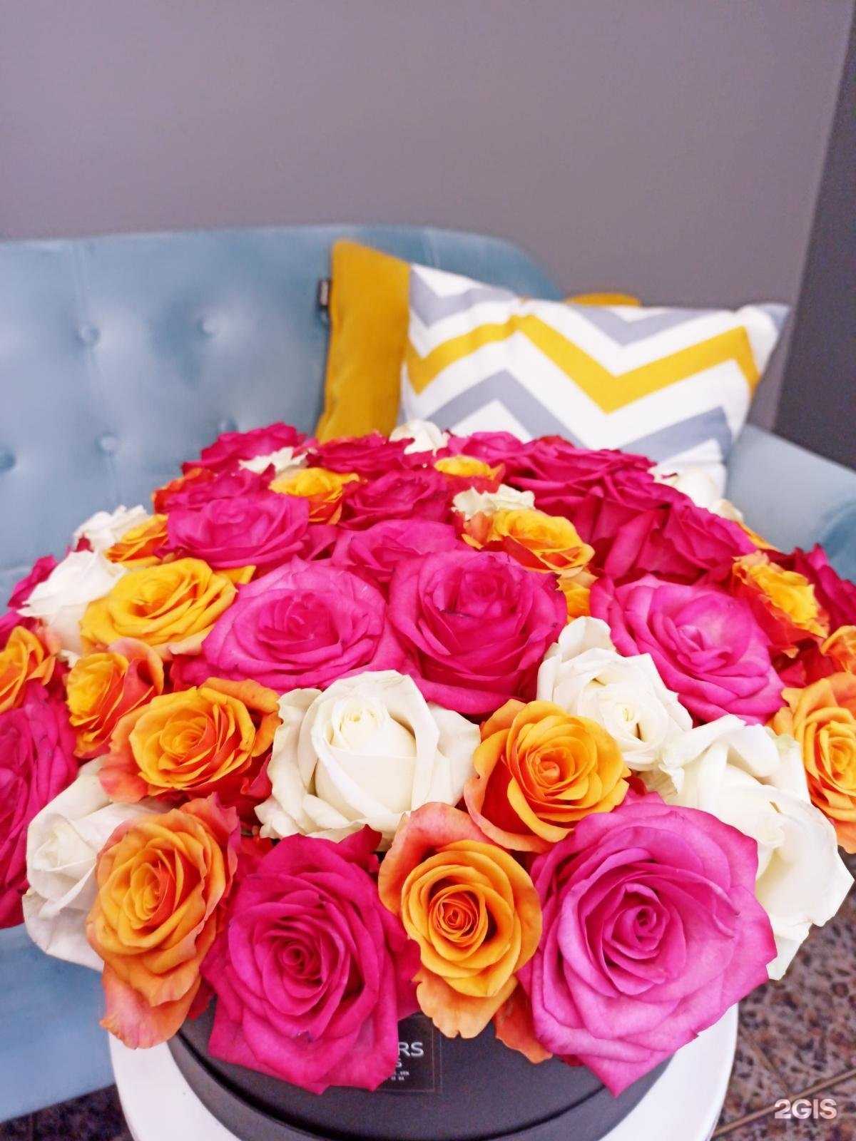 Отзывы на компанию ВМК в г. Воронеж c фото