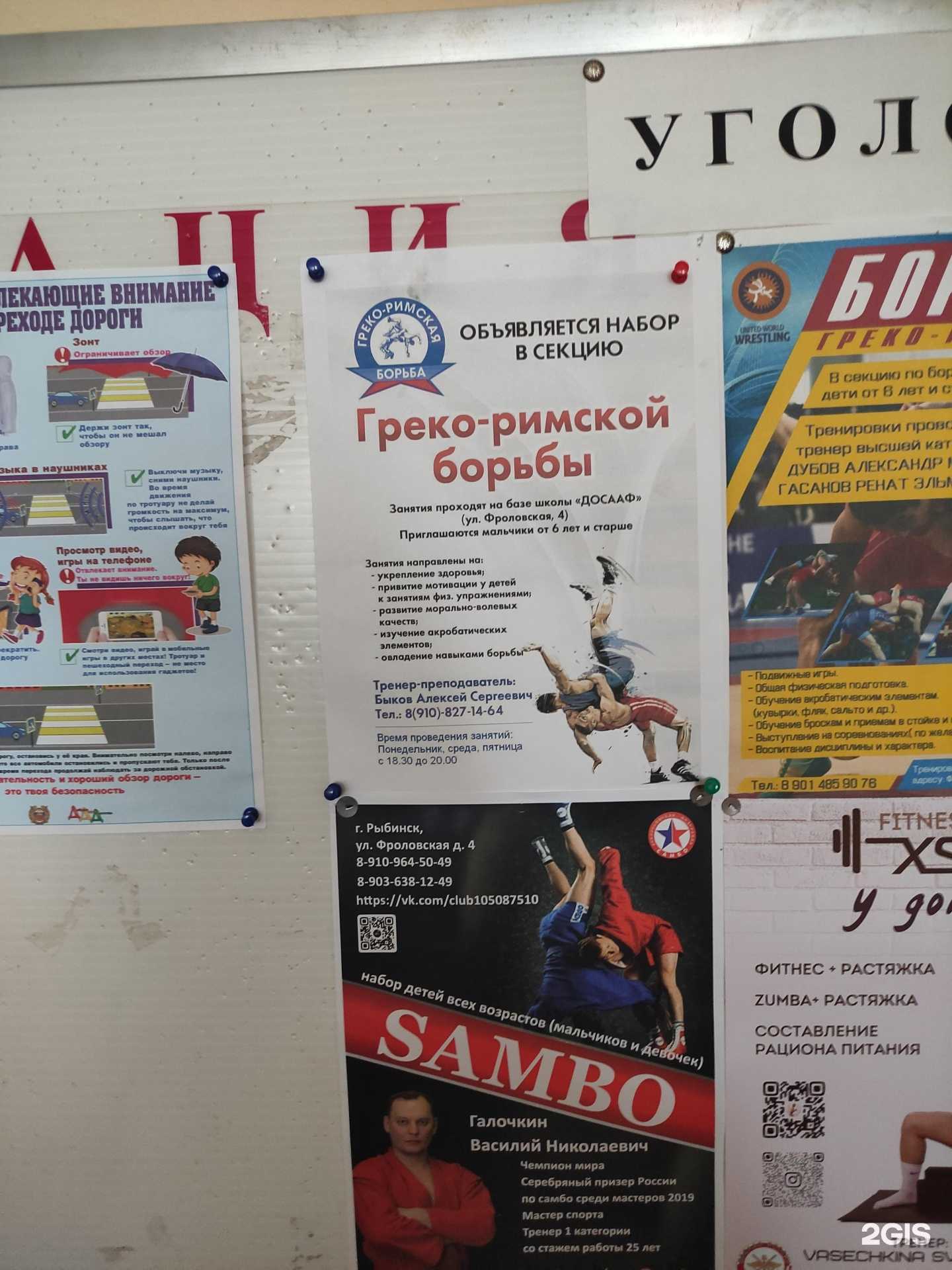 Отзывы на компанию Школа греко-римской борьбы в г. Рыбинск c фото