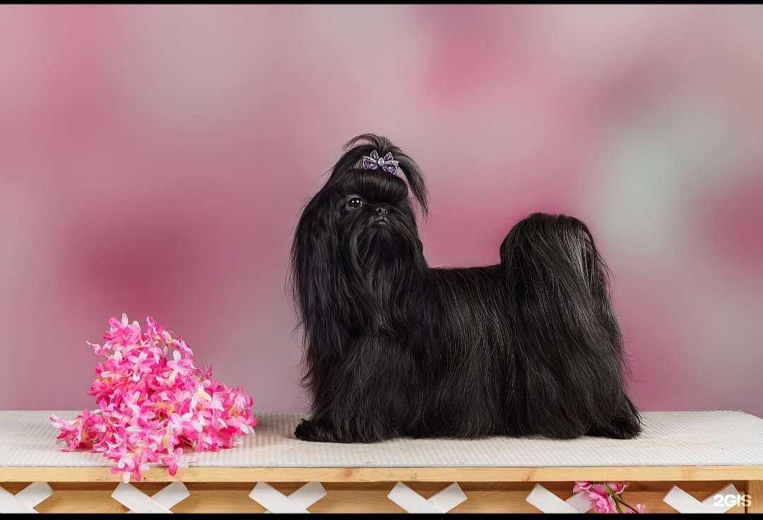 Отзывы на компанию Лаура в г. Находка c фото